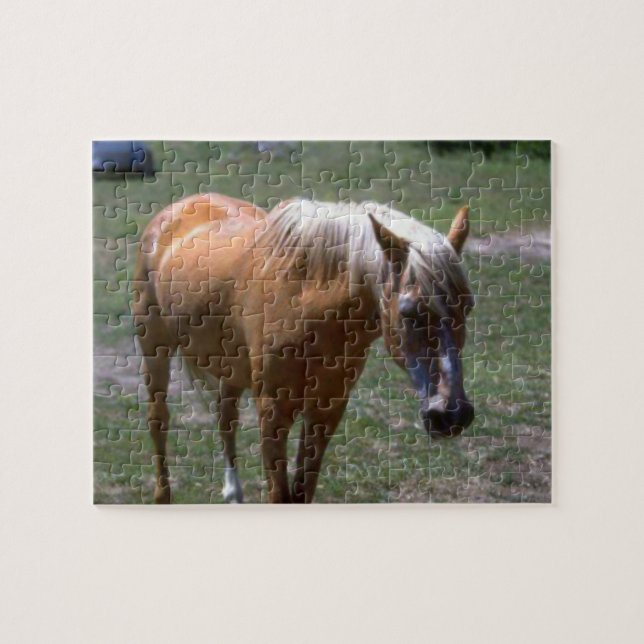 Palomino Horse Jigsaw Puzzle (Horizontal)