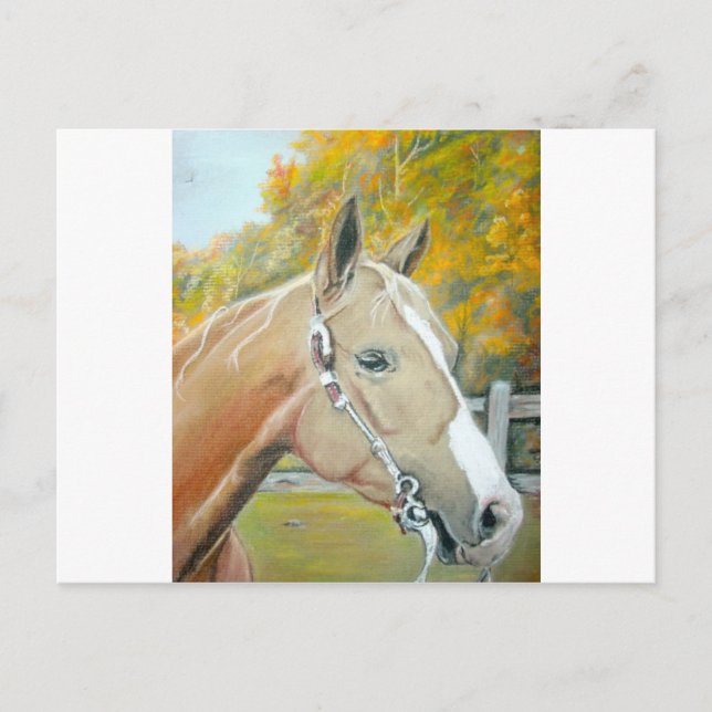 Palomino, Horse pastel Postcard (Front)