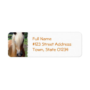Palomino Horse Return Address Label