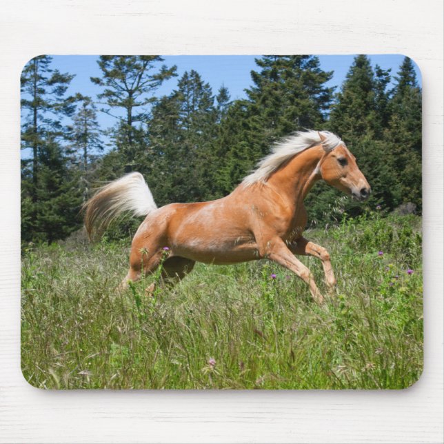 Palomino Horse Running through a Meadow Mouse Pad (Front)
