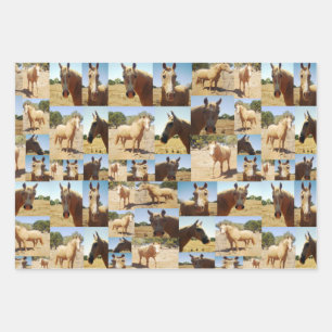 Palomino Horses Collarge,  Gift Wrap Sheets,