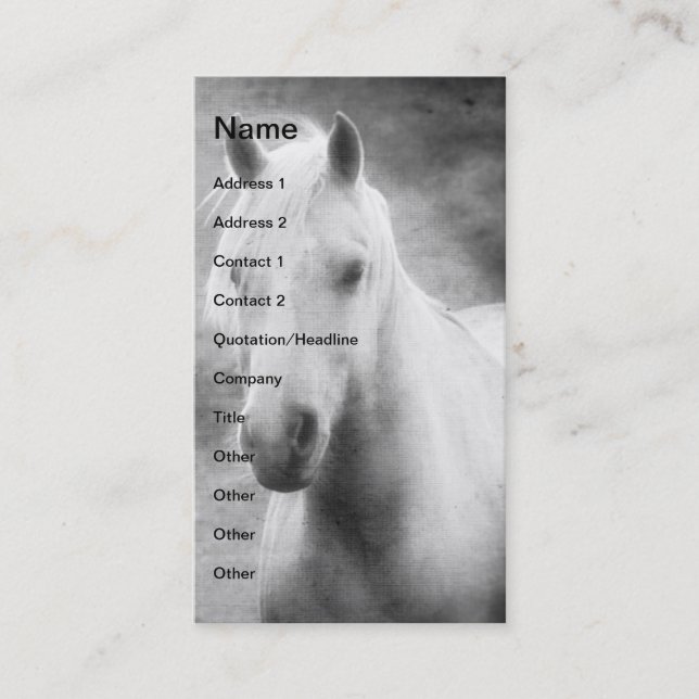 Palomino in Black and White Business Card (Front)