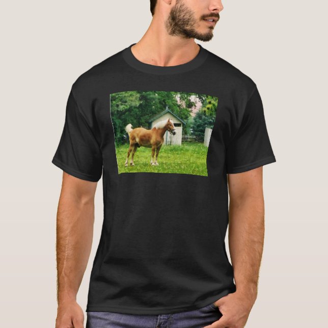 Palomino in Pasture T-Shirt (Front)