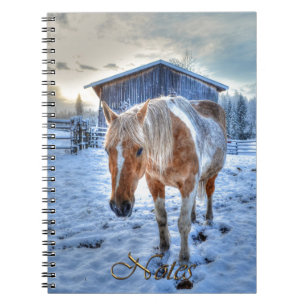 Palomino Paint Horse-lover's Equine Design Notebook