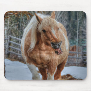 Palomino Paint Ranch Horse Equine Photography Mouse Pad