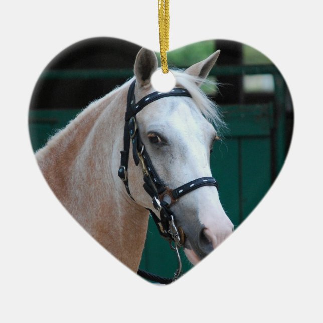 Palomino Paso Fino  Ornament (Front)