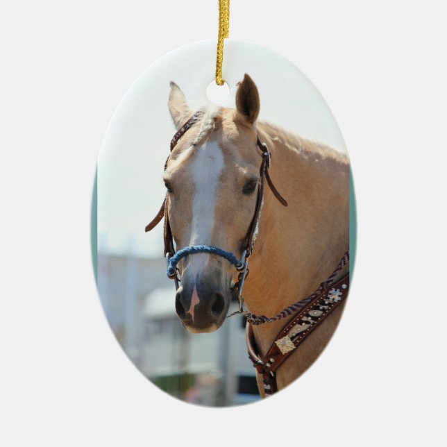 Palomino Pic Ceramic Ornament (Front)
