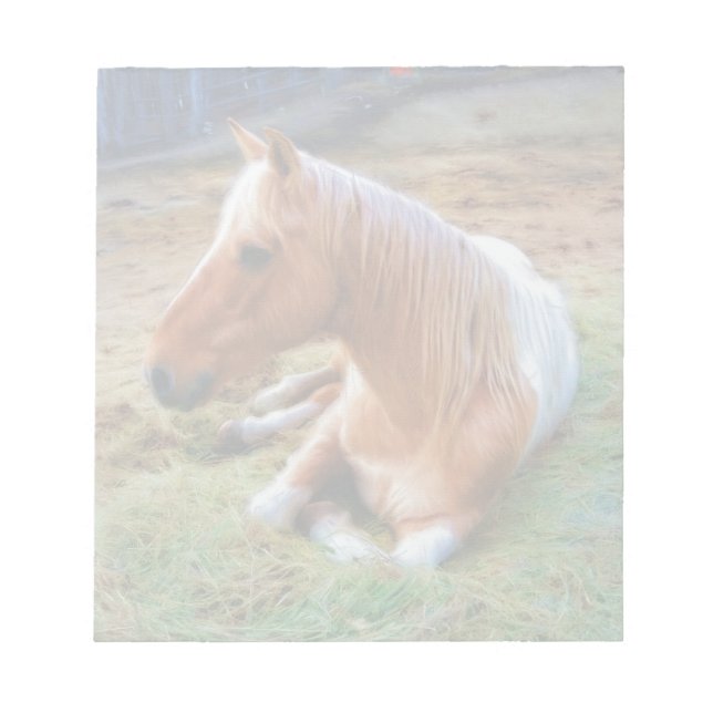 Palomino Pinto Horse Resting Artwork Notepad (Front)