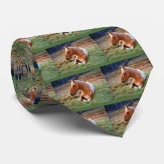 Palomino Pinto Horse Resting Artwork Tie