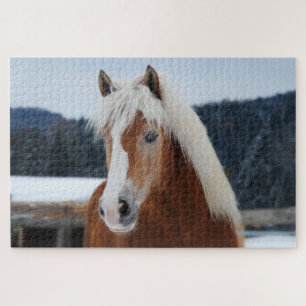 Palomino pony in the field jigsaw puzzle