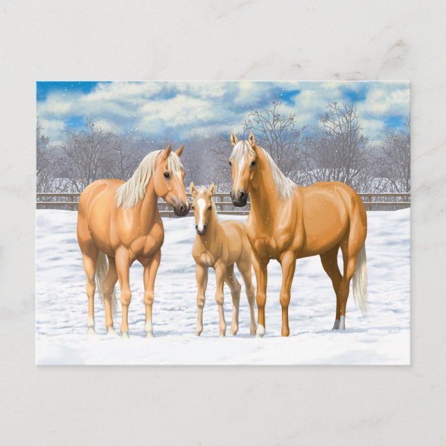Palomino Quarter Horses In Snow Postcard (Front)