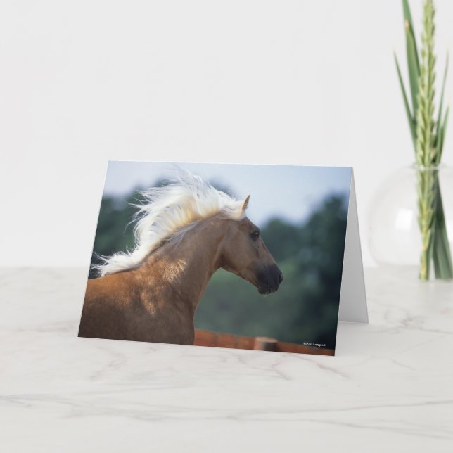 Palomino Rocky Mountain Horse Headshot Card (Front)