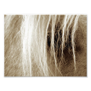 Palomino Sepia Photo Print