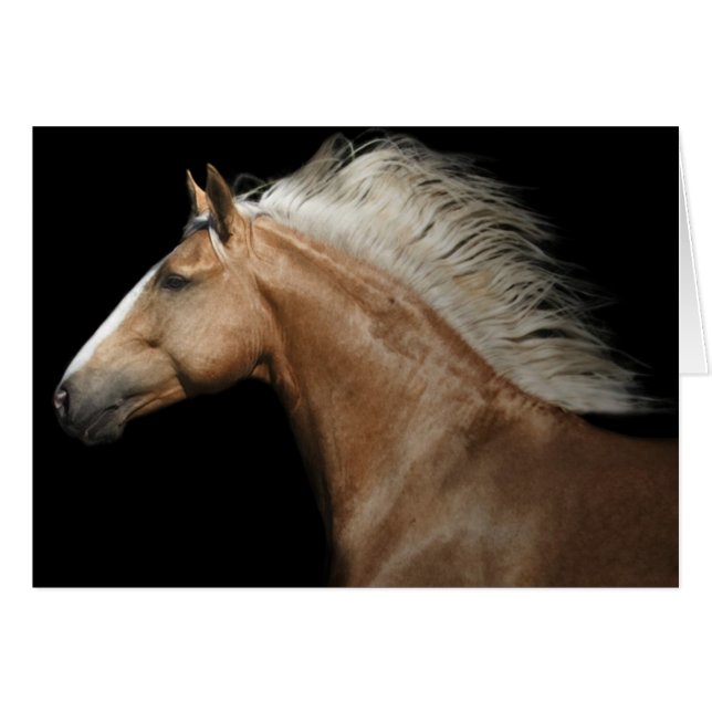 Palomino Stallion (Front Horizontal)