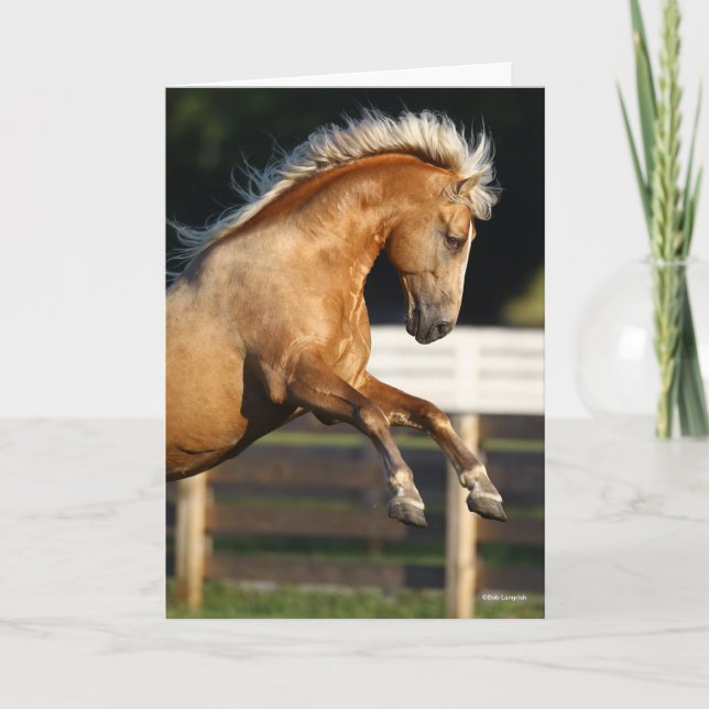 Palomino Tennessee Walker Stallion Rearing Card (Front)