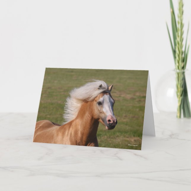 Palomino Welsh Pony Headhot Mane Flowing Card (Front)