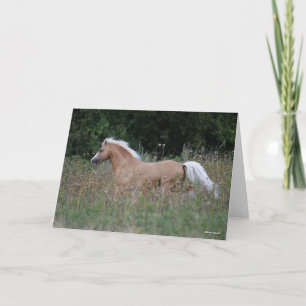 Palomino Welsh Pony Running In Long Grass Card