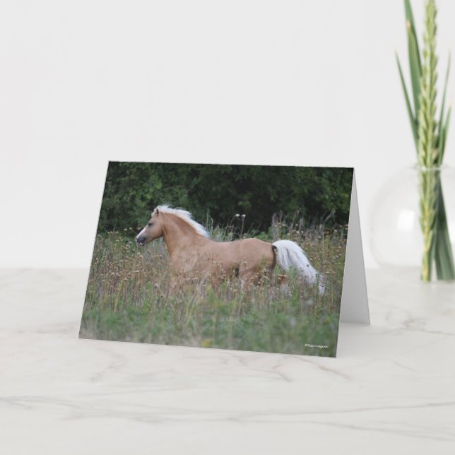 Palomino Welsh Pony Running In Long Grass Card (Front)