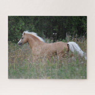 Palomino Welsh Pony Running In Long Grass Jigsaw Puzzle