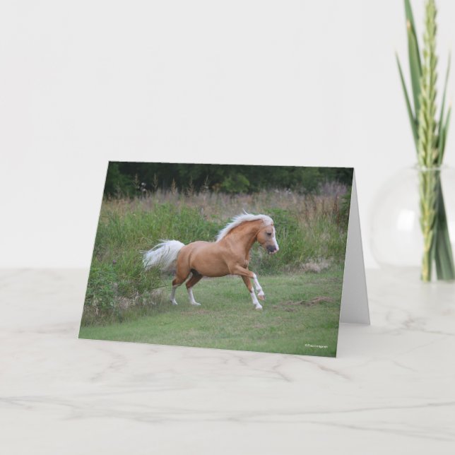 Palomino Welsh Pony Stallion Running Card (Front)