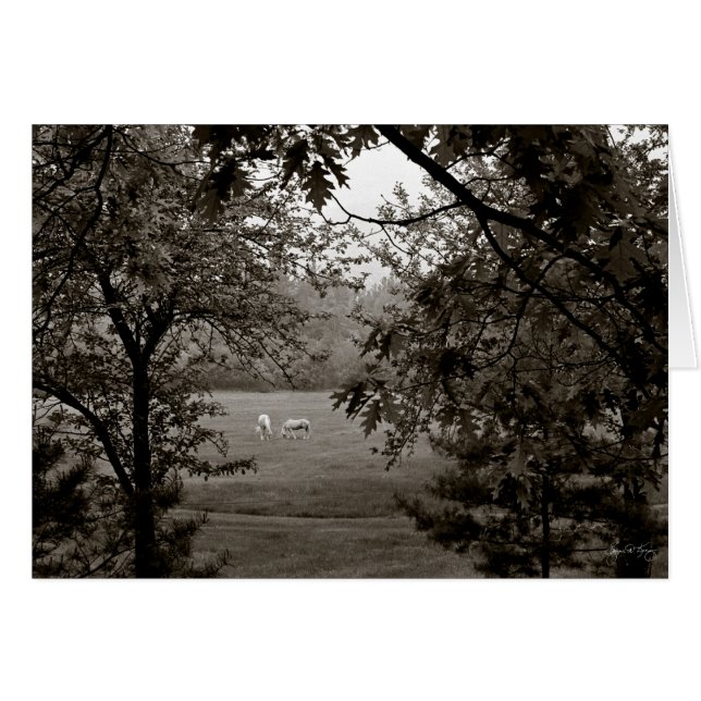 Palominos Framed in Oak (Front Horizontal)