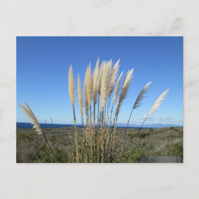 PALOS VERDES. CA #9 POSTCARD (Front)