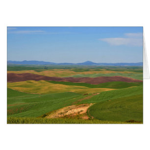 Palouse Hills from Steptoe Butte