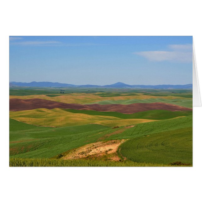 Palouse Hills from Steptoe Butte (Front Horizontal)