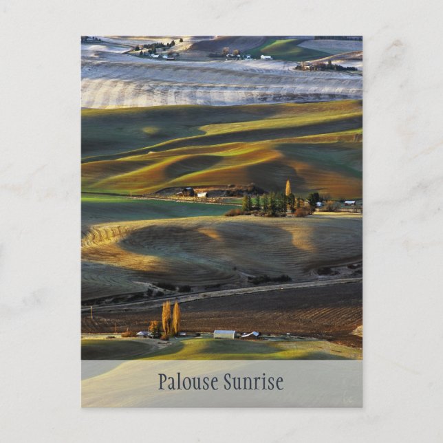 Palouse Sunrise Postcard (Front)