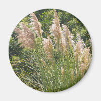 Pampas Grass Magnet