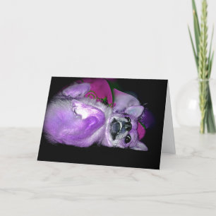 Pamper Yourself Greeting Card
