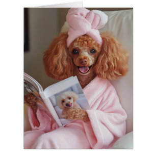 Pampered Poodle Reading Day