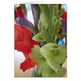 pam's gladiolas