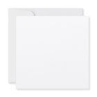 Pan Am Expo with Bison and Native American Motifs