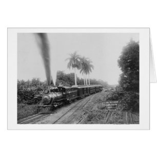Pan American Central Railroad in Guatemala