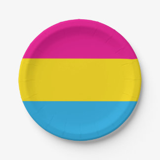 Pan Flag Paper Plate