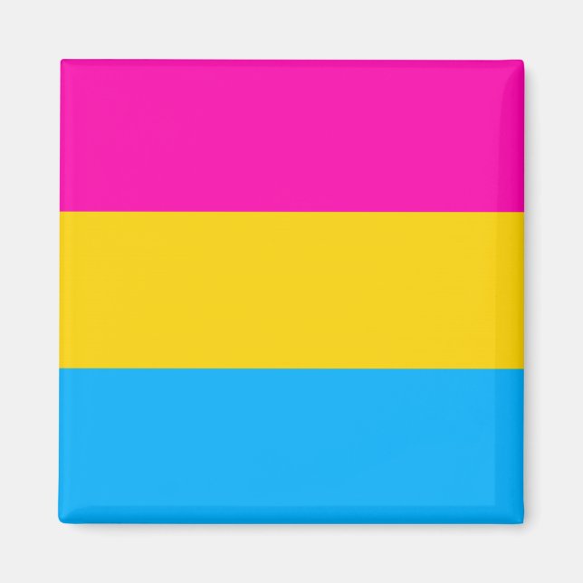 Pan pride flag magnet (Front)