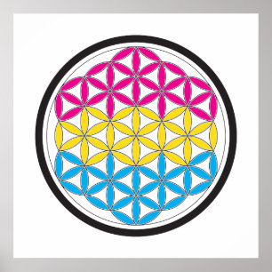 pan sacred geometry poster