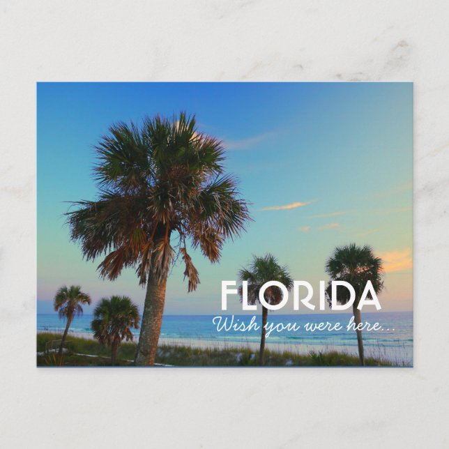 Panama City Beach, Florida Wish You Were Here Postcard (Front)
