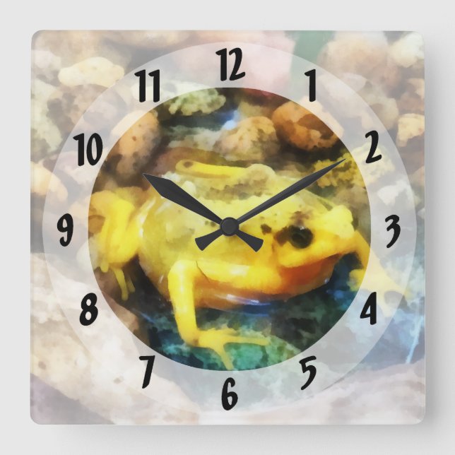 Panamanian Golden Frog Square Wall Clock (Front)