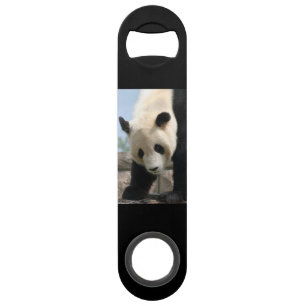 Panda20170506_by_JAMFoto