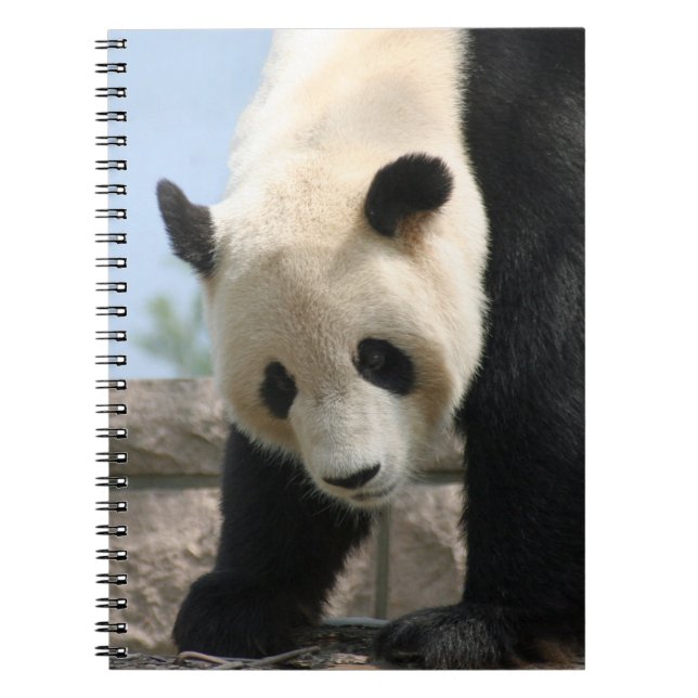 Panda20170506_by_JAMFoto Notebook (Front)