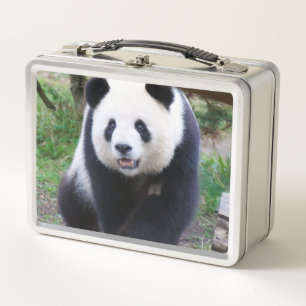 Panda_20190301_by_JAMFoto Metal Lunch Box