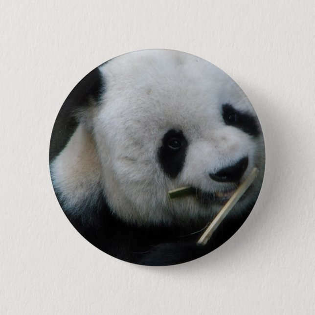 Panda 6 Cm Round Badge (Front)