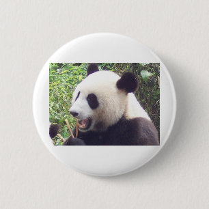 Panda 6 Cm Round Badge