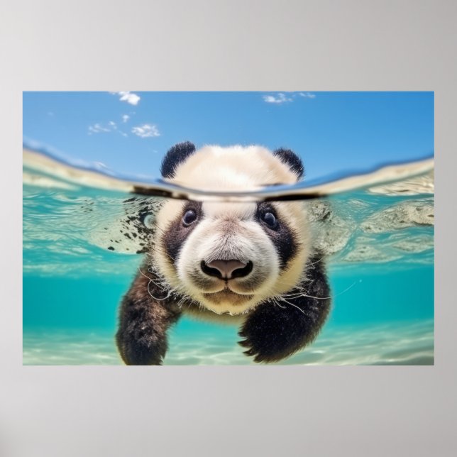 Panda Animal Fun Nature Playing Water  Poster (Front)