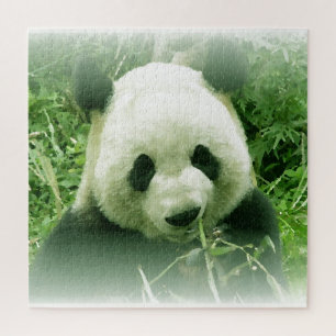 Panda - Animals Art Jigsaw Puzzle