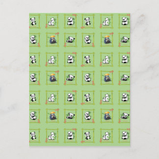 Panda Bamboo Bear Postcard