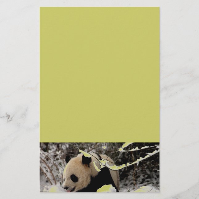 Panda Bear (Front)