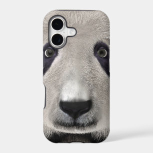 Panda Bear